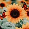 emilymills112